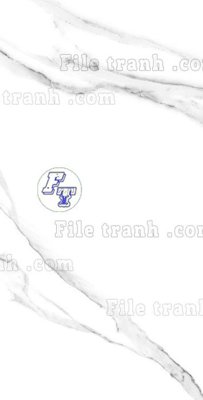 File in trần File in vân đá cẩm thạch thông tầng đứng DXD60 (file gốc) phong thủy