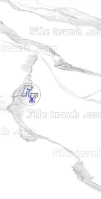 File ảnh File in vân đá cẩm thạch thông tầng đứng DXD65 (gốc) in poster