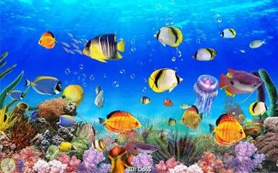 File in mica File gốc đại đương DD65 (bản gốc) siêu trong