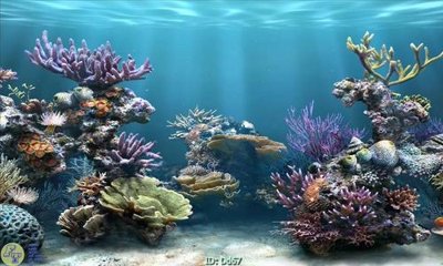 File gốc File gốc đại đương DD67 (cho in ấn) độc quyền