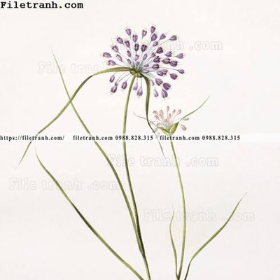 File tranh Dong hoa va chim moi cua Trung Quoc 106 (ảnh gốc) in trần 3D