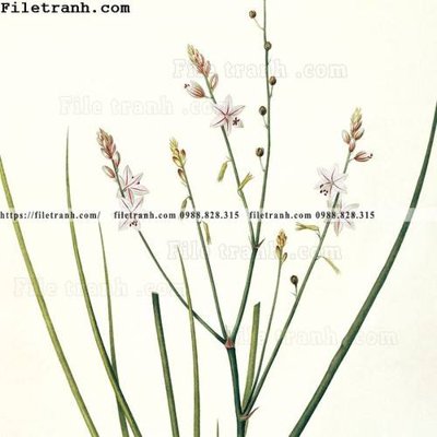 File ảnh Dong hoa va chim moi cua Trung Quoc 107 (gốc) in quảng cáo ngoài trời