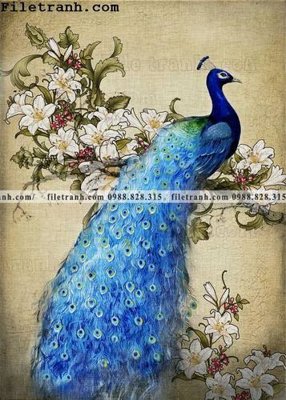 Download file gốc Dong hoa va chim moi cua Trung Quoc 134 (in mica) trong suốt