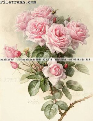 File ảnh Dong hoa va chim moi cua Trung Quoc 181 (gốc) in backdrop sự kiện