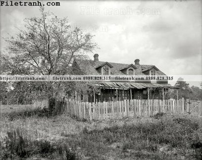 Tải file gốc in lụa Duplex Fixer-Upper_ 1905 siêu nét