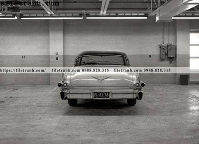 Tải file gốc Eldorado_ 1955 (để in lụa)