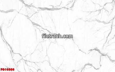 File tranh in trần 3D File in tranh tường hiện đại FG10308 (ảnh gốc)