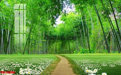 File PSD File in tranh tường hiện đại FG10394 (bản gốc) đã tách nền