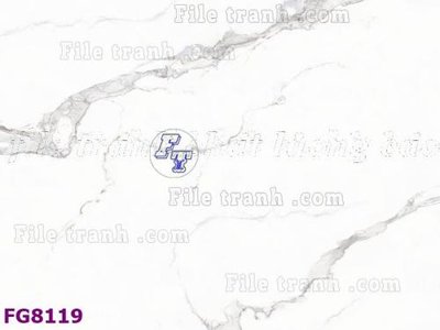 File gốc File gốc in đá cẩm thạch hiện đại FG8119 (phiên bản chuẩn) để in ấn