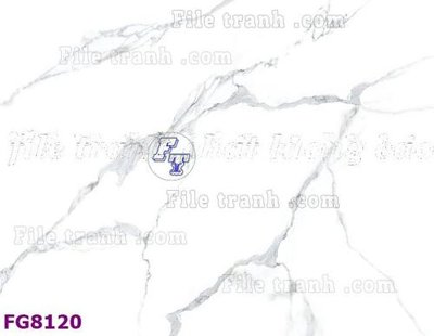 File in trần File gốc in đá cẩm thạch hiện đại FG8120 (bản gốc) phong cảnh