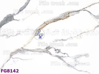 Tải file File gốc in đá cẩm thạch hiện đại FG8142 (ảnh gốc) in gạch men