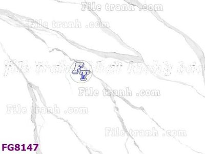 Ảnh gốc File gốc in đá cẩm thạch hiện đại FG8147 (nét căng) in mica