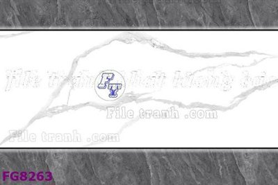 Ảnh gốc File gốc in đá cẩm thạch hiện đại FG8263 (nét căng) in mica
