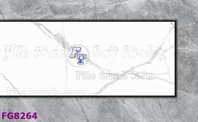 File ảnh File gốc in đá cẩm thạch hiện đại FG8264 (gốc) trang trí khách sạn