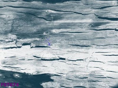 File tranh File in tranh tường hiện đại FST674 (ảnh gốc) in trần 3D