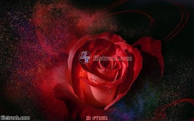 File in trần File psd tường quán cà phê FT1051 (bản gốc) đại dương