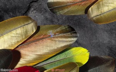 File tranh gốc File psd tường quán cà phê FT1117 (bản quyền) Filetranh.com