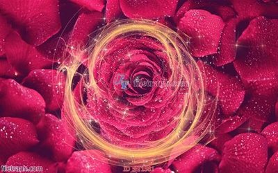 File in ấn File psd tường quán cà phê FT1581 chuyên nghiệp