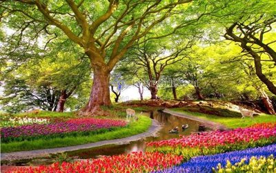 File tranh File in tranh tường 3D FT200349 (ảnh gốc) độ nét vượt trội