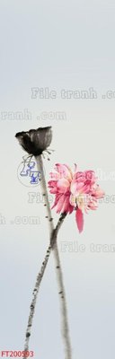 File in trần File in tranh tường 3D FT200593 (file gốc) chủ đề vũ trụ