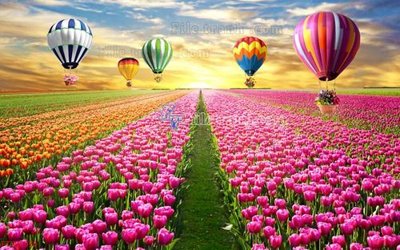 File tranh File in tranh tường 3D FT200970 (bản gốc) treo tường