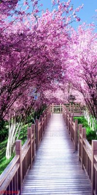 File ảnh File in tranh tường 3D FT201046 (gốc) trang trí khách sạn