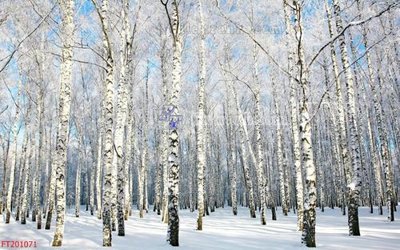 File tranh File in tranh tường 3D FT201071 (ảnh gốc) không bị mờ