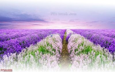 File tranh gốc File in tranh tường 3D FT201658 (bản quyền) Filetranh.com