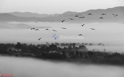 Tải file gốc File in tranh tường 3D FT202551 (in tráng gương) 5DFile gốc File in tranh tường 3D FT202551 (in ấn) phiên bản premium