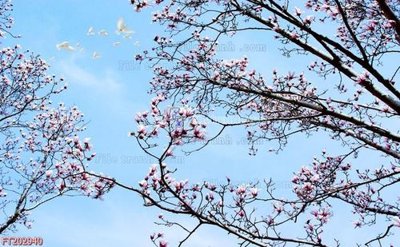 Tải file File in tranh tường 3D FT202940 (gốc) chủ đề tôn giáo