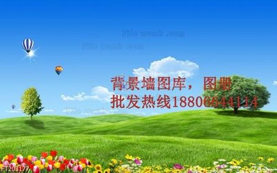 File tranh File in tranh tường 3D FT203177 (ảnh gốc) độc quyền