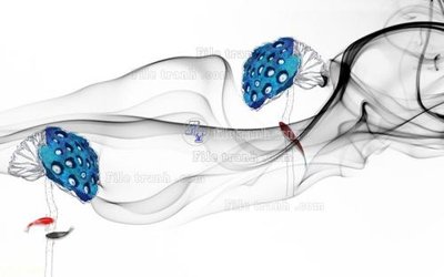 File in mica File in tranh tường 3D FT204615 (ảnh gốc) đẹp