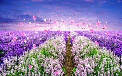 File tranh File in tranh tường 3D FT204687 (ảnh gốc) không bị mờ