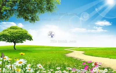 File tranh File in tranh tường 3D FT204698 (ảnh gốc) in trần xuyên sáng