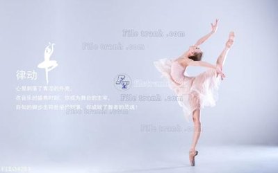 File in mica File in tranh tường 3D FT204723 (bản gốc) làm vách ngăn