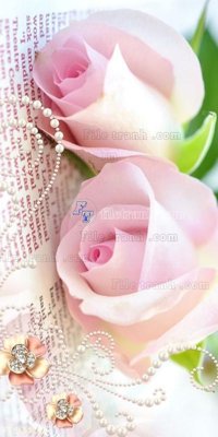 File gốc File in tranh tường 3D FT204756 (cho in ấn) từ kho Filetranh