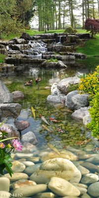 File in trần File in tranh tường 3D FT204810 (bản gốc) đại dương