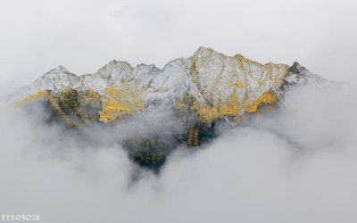 File gốc File in tranh tường 3D FT205078 (dành cho trang trí nội thất)