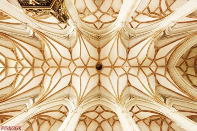 Tải file File in tranh tường 3D FT205276 (gốc) chủ đề hoa sen