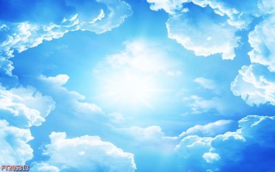 Cung cấp file tranh gốc File in tranh tường 3D FT205313 độc quyền