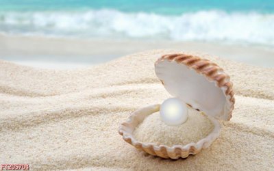 File tranh File in tranh tường 3D FT205704 (ảnh gốc) in trần 3D