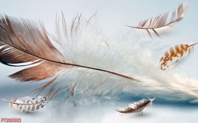 Tệp tin gốc File in tranh tường 3D FT205883 (dùng cho in) File in tranh tường 3D FT205883