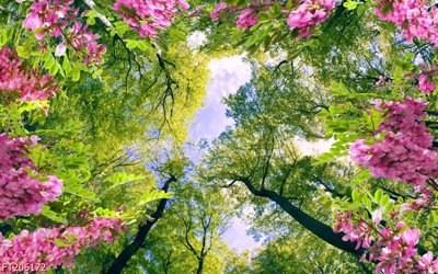 File in lụa File in tranh tường 3D FT206172 (tân cổ điển) File in tranh tường 3D FT206172