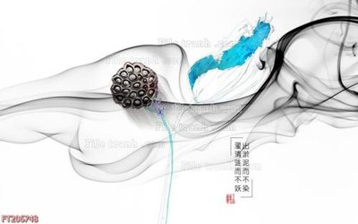 File in trần File in tranh tường 3D FT206748 (bản gốc) bầu trời