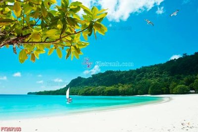 File tranh ảnh gốc File in tranh tường 3D FT207103 dùng cho in khổ lớn