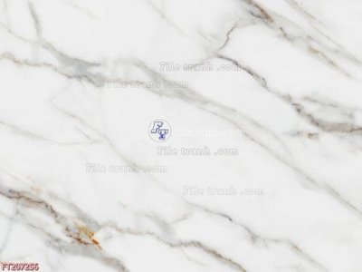 File gốc File in tranh tường 3D FT207256 (in tráng gương) nghệ thuật