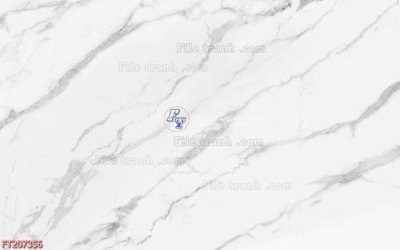 File in mica File in tranh tường 3D FT207356 (bản gốc) sắc sảo