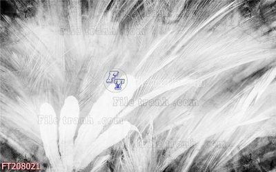 File in trần File in tranh tường 3D FT208021 (file gốc) phong thủy