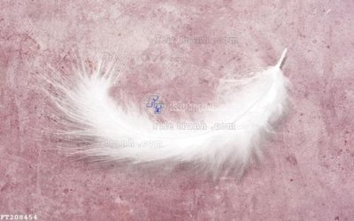 Chi tiết file tranh tráng gương File in tranh tường 3D FT208454 (ảnh gốc)