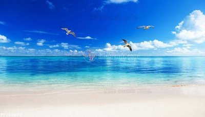 Chi tiết file gốc File in tranh tường 3D FT208622 (cho in tráng gương)